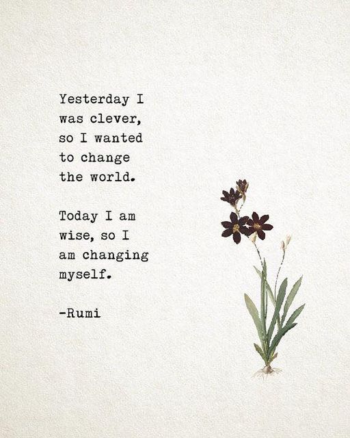 clever-wise-rumi
