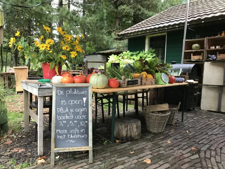 15 november versnellen door vertragen springdag